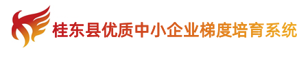 桂东县优质中小企业梯度培育系统