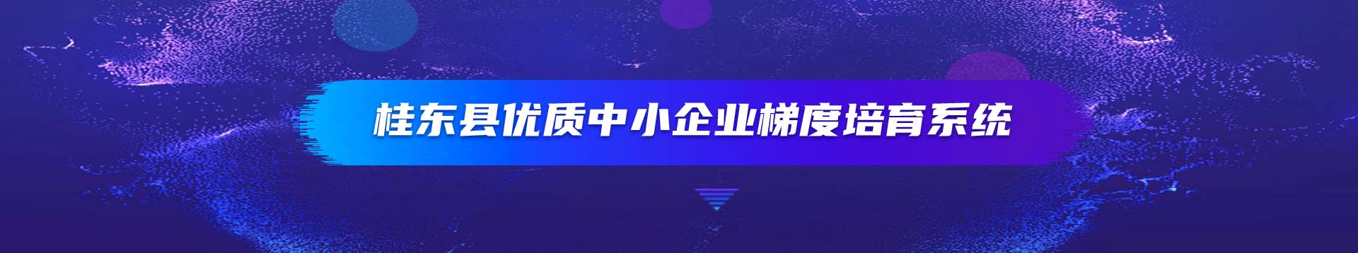 桂东县优质中小企业梯度培育系统